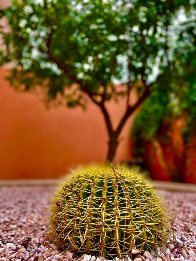 Villa Kalthoum Marrakesh Exterior photo